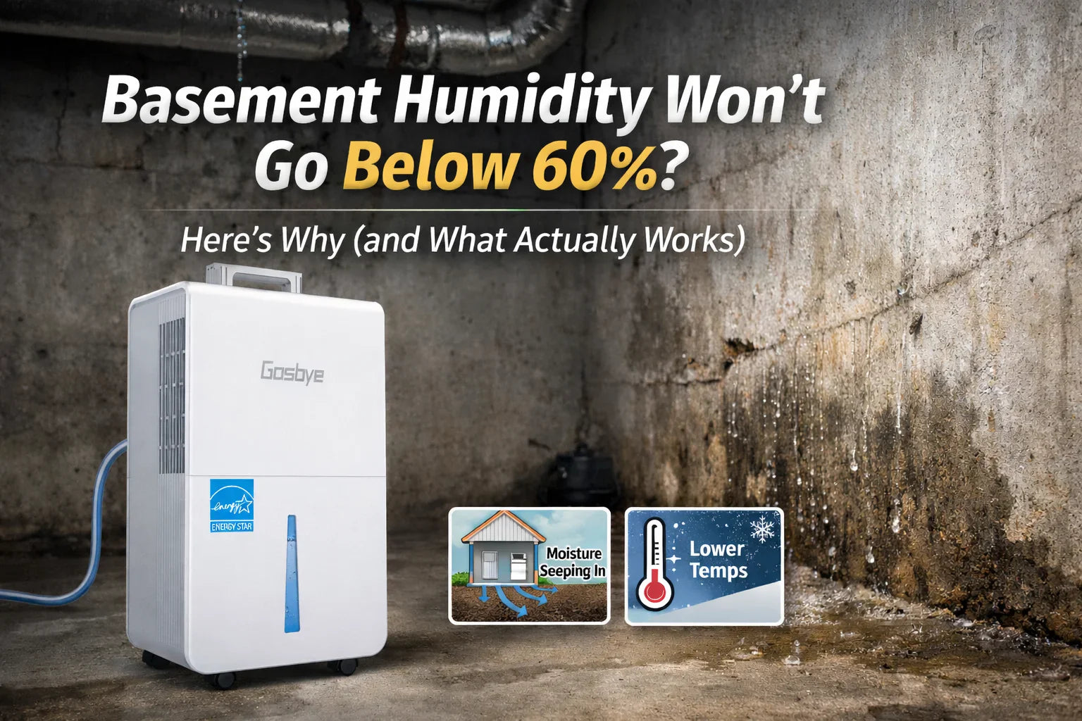 Basement Humidity Won’t Go Below 60%? Here’s Why (and What Actually Works)