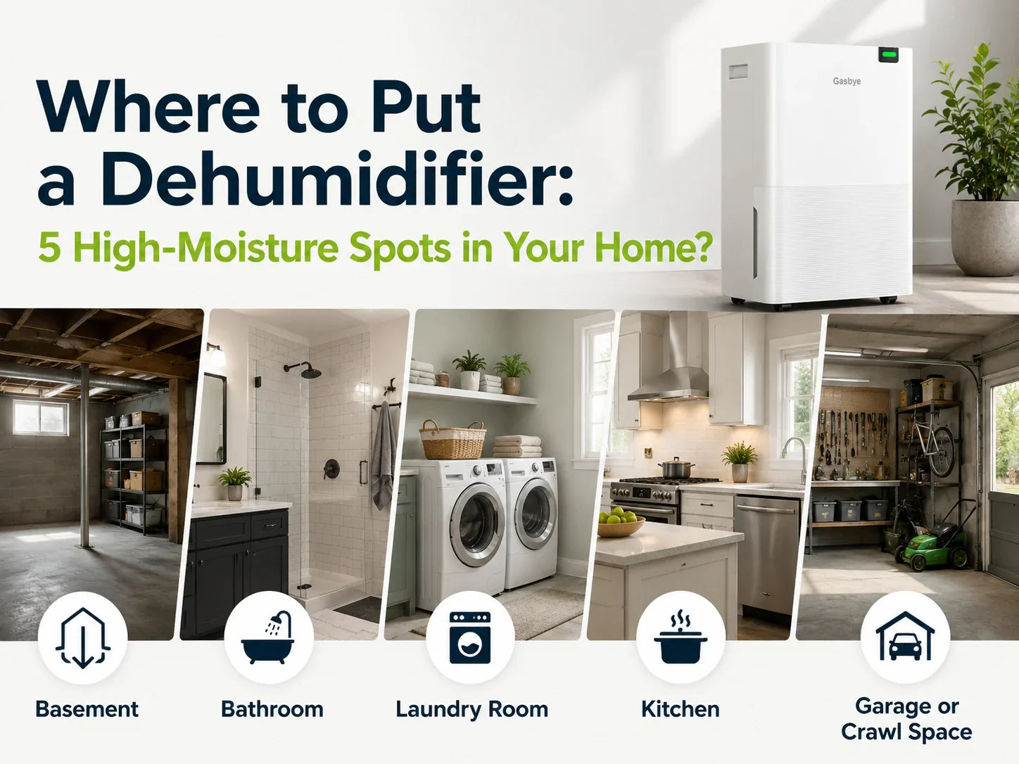 Where to Put a Dehumidifier 5 High-Moisture Spots in Your Home