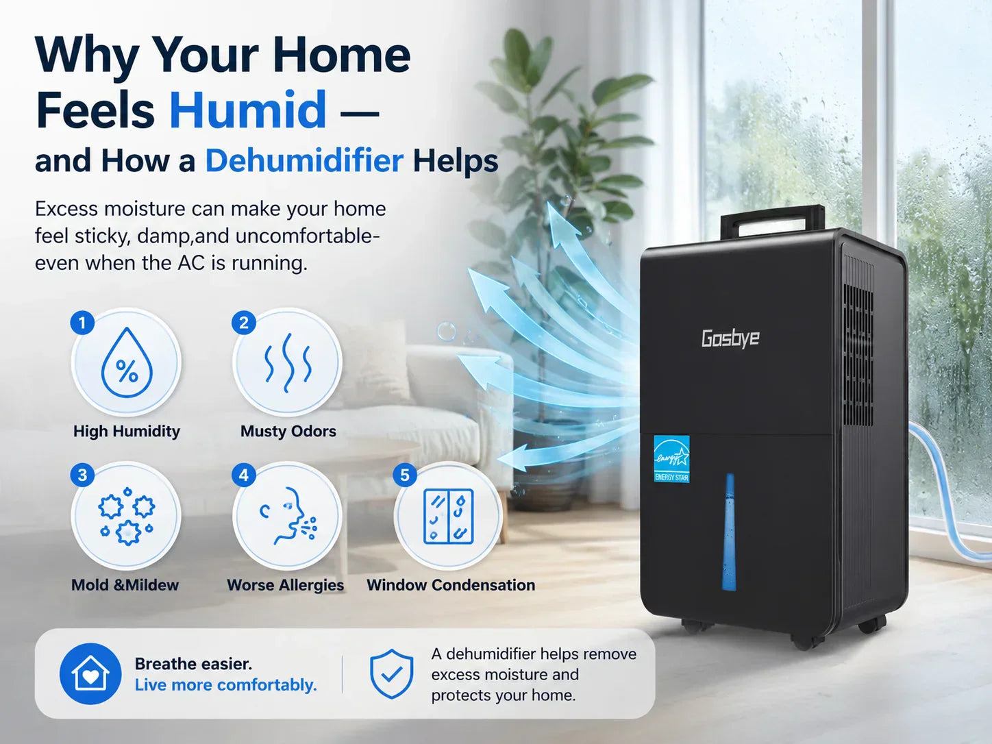 Why Your Home Feels Humid — and How a Dehumidifier Helps
