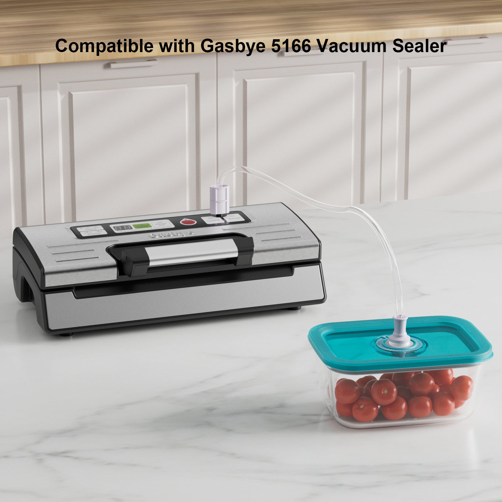 Compatible with Gasbye 5166 Vacuum Sealer
