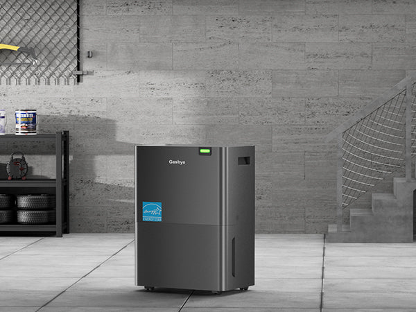 DryPrime 35B dehumidifier in basement scene