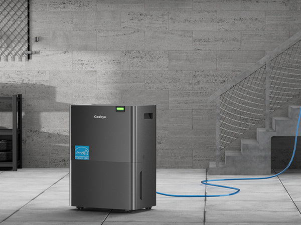 DryPrime 35BP dehumidifier in basement scene