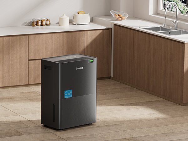 DryPrime 35BP dehumidifier in kitchen scene