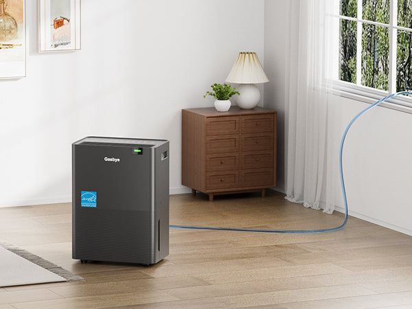 DryPrime 35BP dehumidifier in living room scene