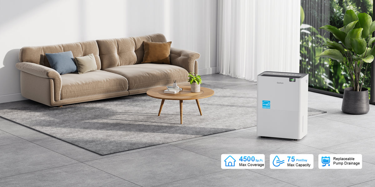 DryPrime 35WP dehumidifier in living room scene