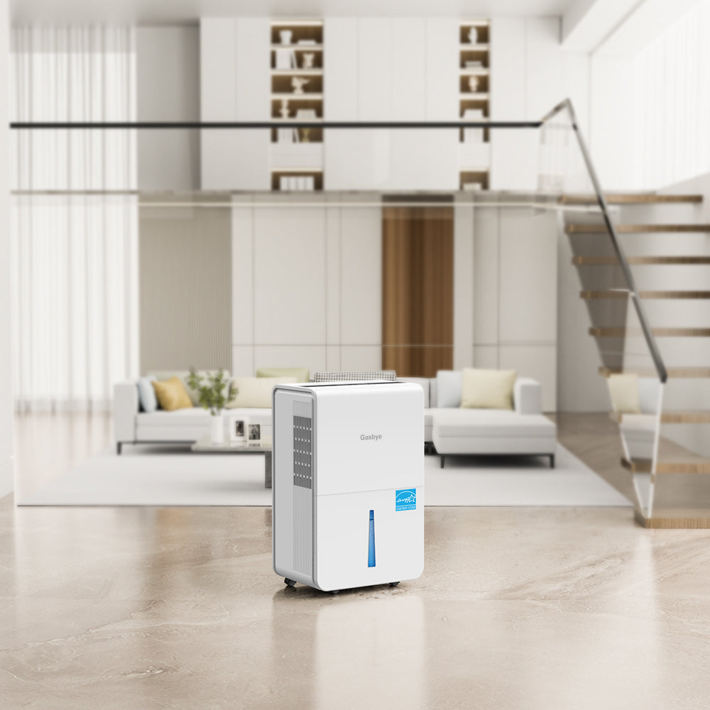 DryPrime 50W dehumidifier in living room scene