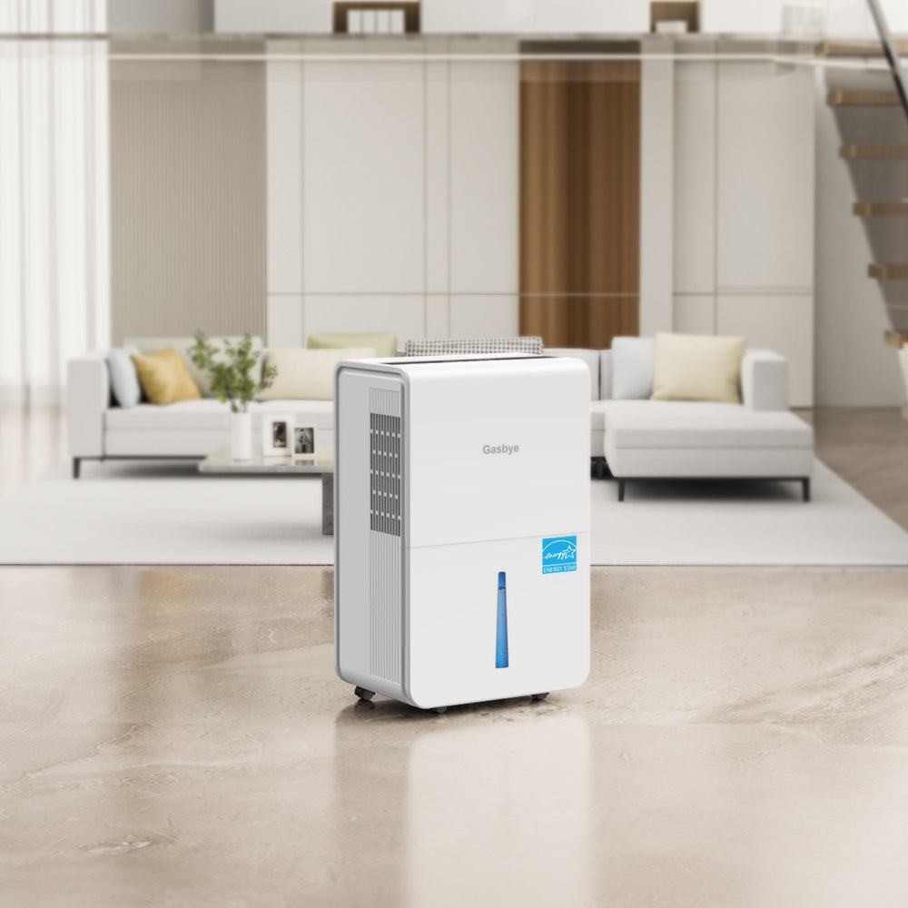 DryPrime 50W dehumidifier living room scene close-up