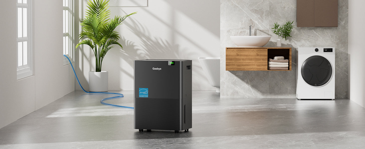 Why a Dehumidifier Is a Must-Have for American Homes in Humid Climates?