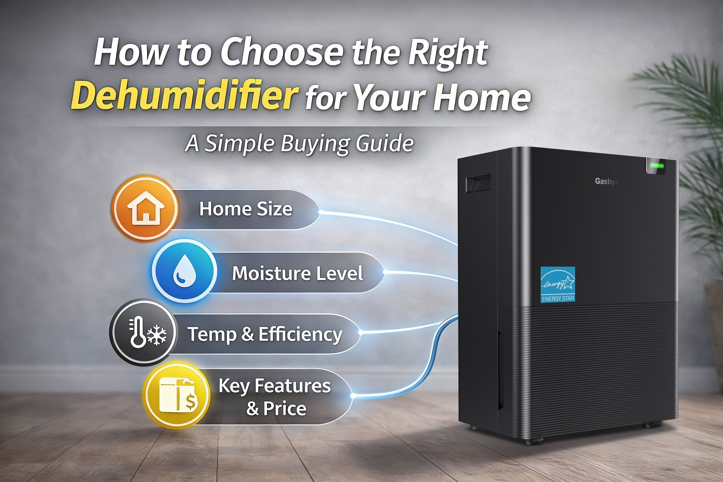 How to Choose the Right Dehumidifier for Your Home