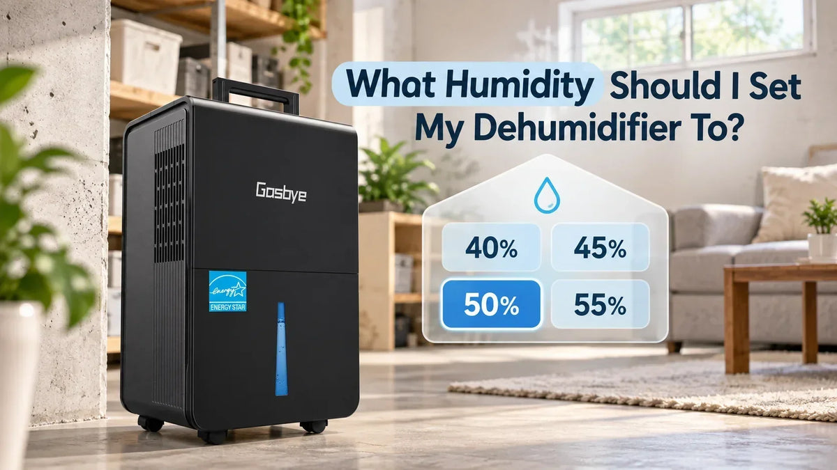 What Humidity Should I Set My Dehumidifier To?