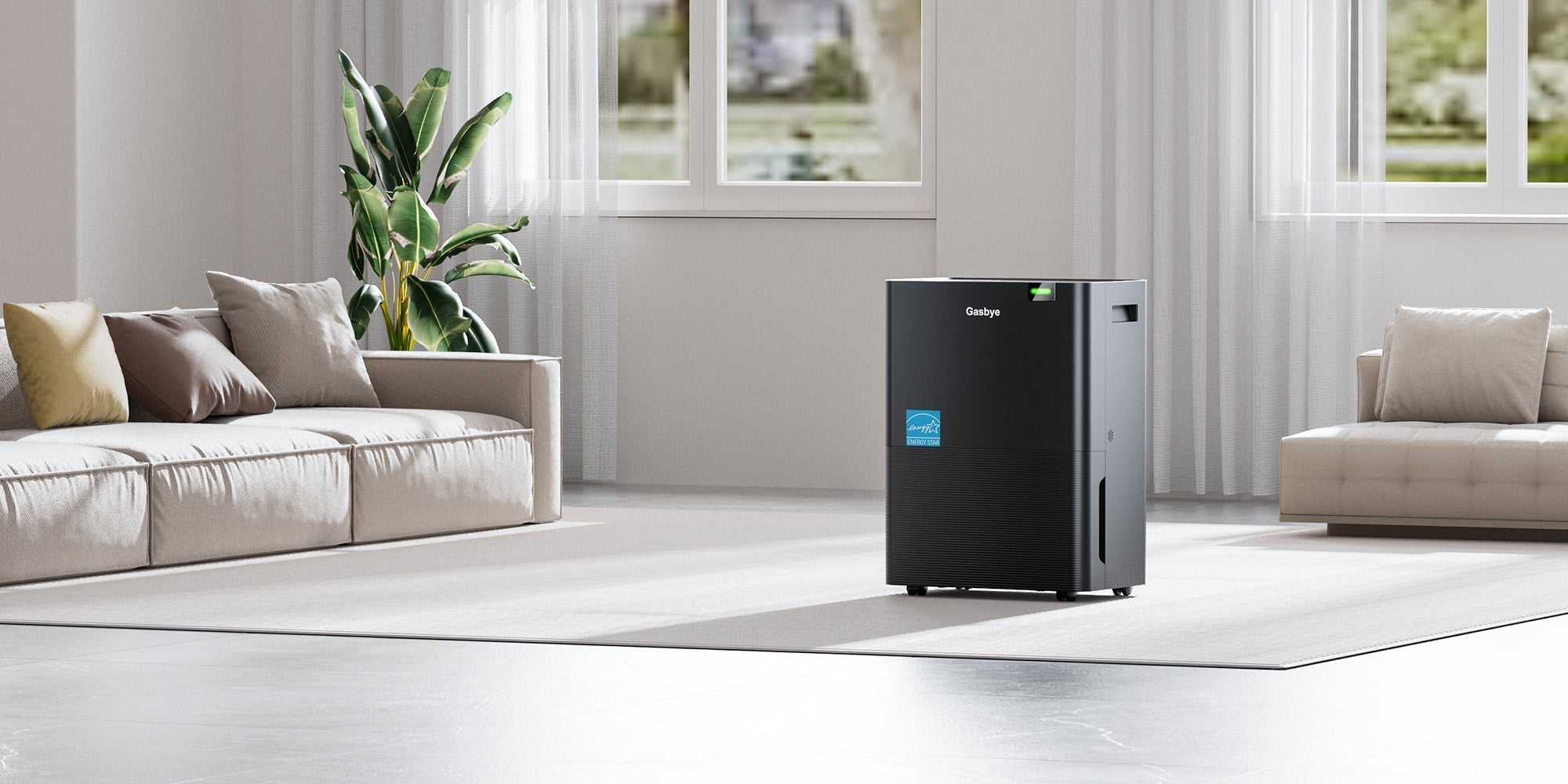 The Complete Guide for Choosing and Using a Dehumidifier