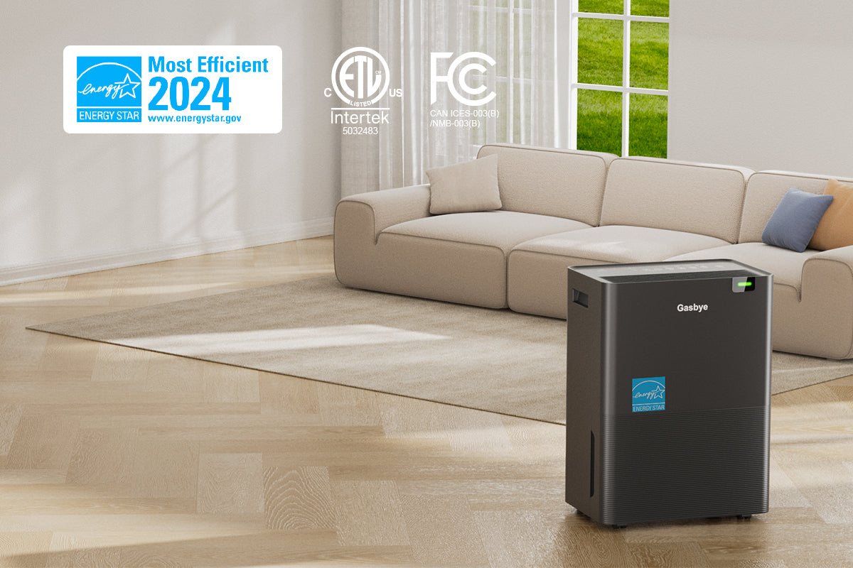 DryPrime 35B dehumidifier in living room scene with energy star certified