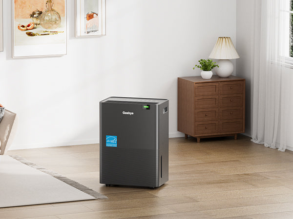 DryPrime 35B dehumidifier in living room scene