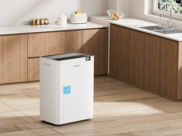 DryPrime 35WP dehumidifier in kitchen scene