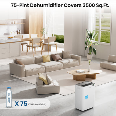 DryPrime 35WP Dehumidifier in a living room environment
