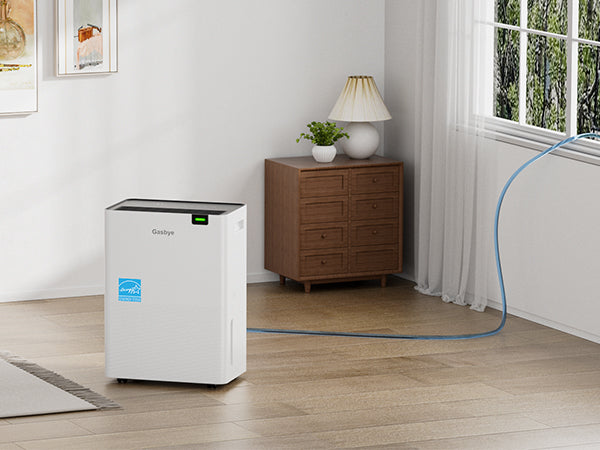 DryPrime 35WP dehumidifier in the living room scene