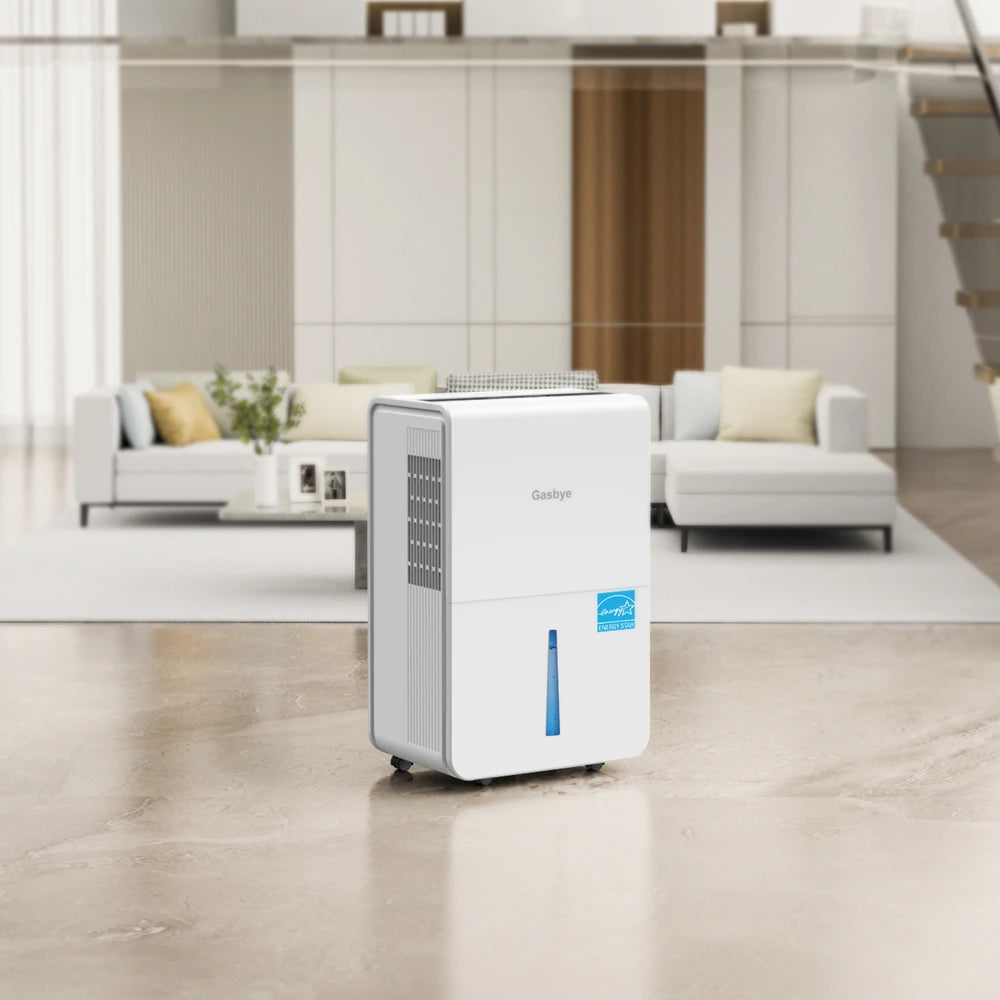 DryPrime 50W dehumidifier living room scene close-up